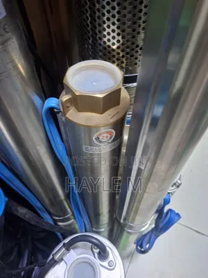 Leo Borehole Water Pump