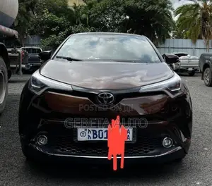 Toyota C-HR 2017 Brown