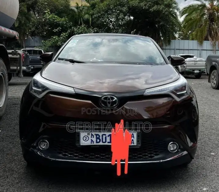 Toyota C-HR 2017 Brown