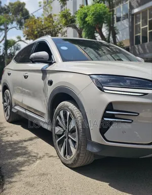 BYD Song Plus 2025 Gray