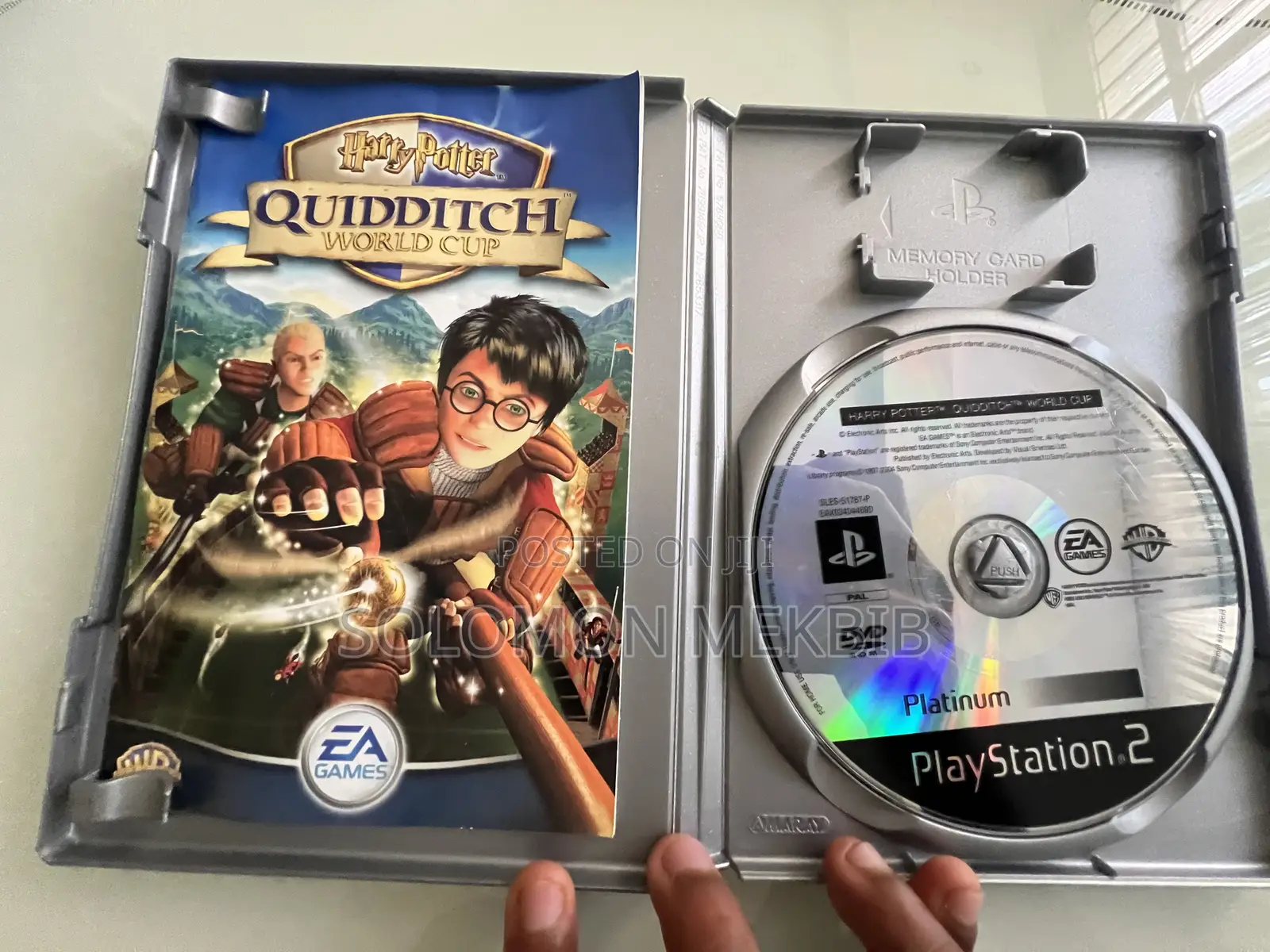 Harry Potter (Quidditch World Cup)