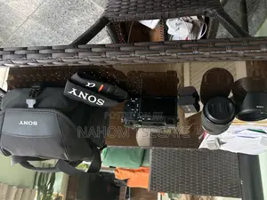 Sony a 6600 Mirrorless Camera With 18 - 135mm Lens