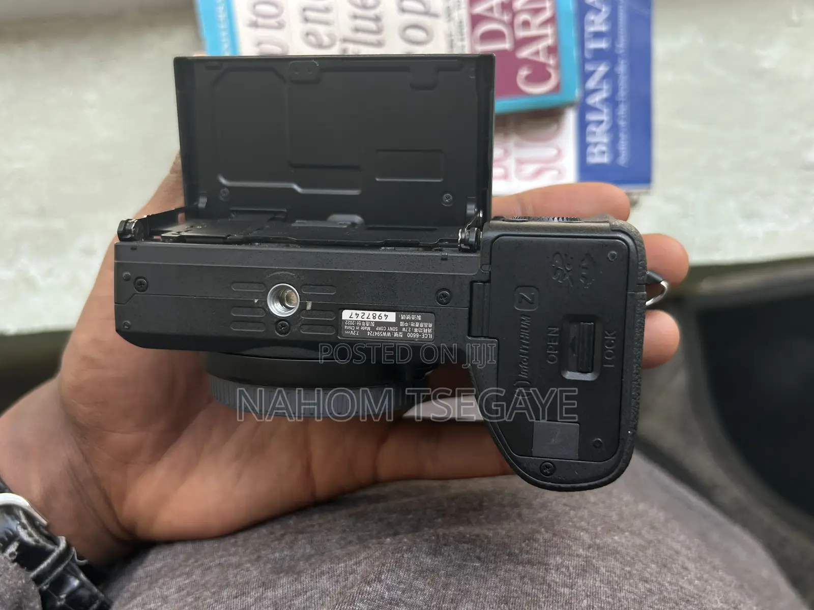 Sony a 6600 Mirrorless Camera With 18 - 135mm Lens