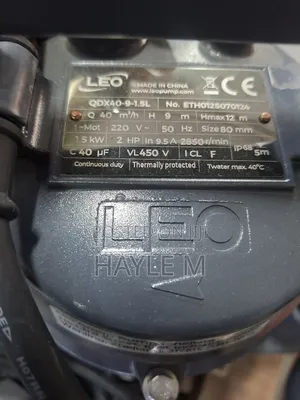 Leo Submersuble Water Pump