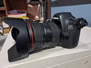 Canon 6d 24_70 Red Reinglens