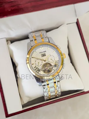 Tevise Automatic Mechanical Skeleton Luxury Watch in a Two-Tone Silver
