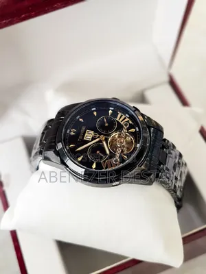 Black Stainless Steel Tevise Automatic Mechanical Men's Watch Featurin