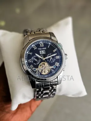 Tevise Automatic Mechanical Men's Wristwatch With a Stainless Steel