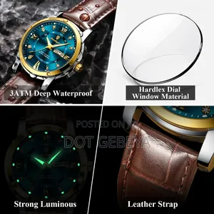 Poedagar Luxury Style Watches