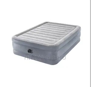 Intex Queen Air Mattress