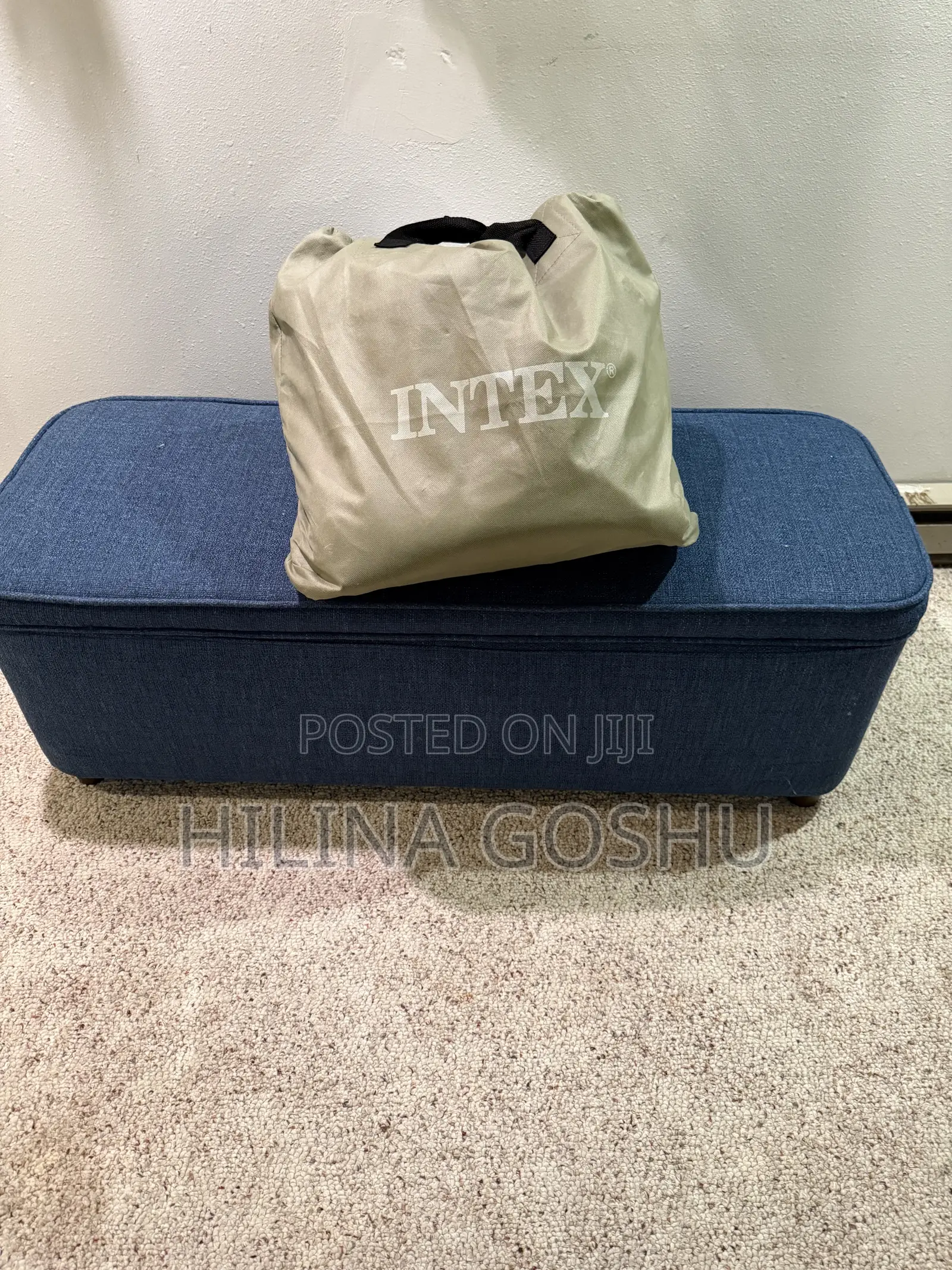 Intex Queen Air Mattress