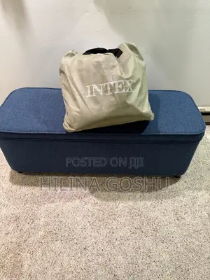 Intex Queen Air Mattress