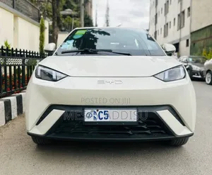 BYD Seagull 2025 Gray