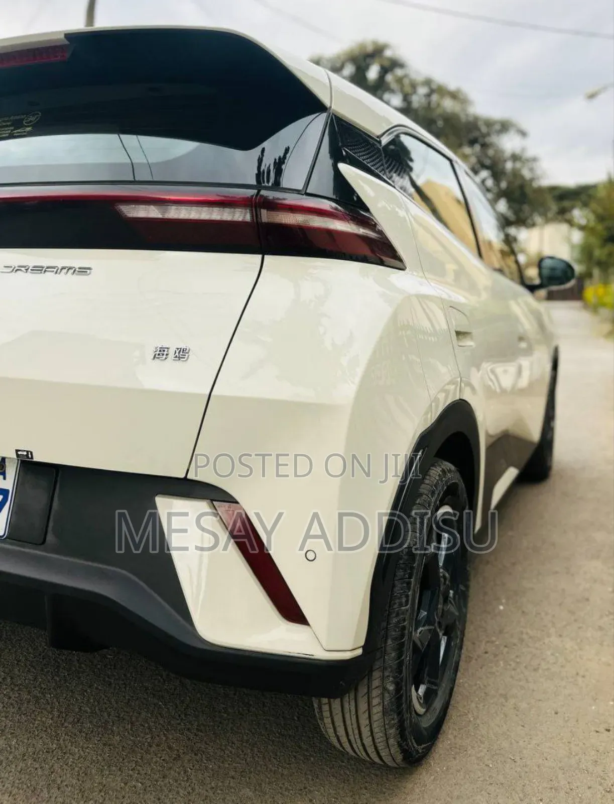 BYD Seagull 2025 Gray