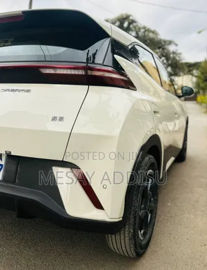 BYD Seagull 2025 Gray