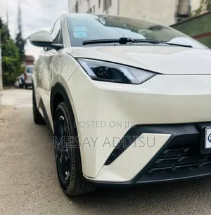 BYD Seagull 2025 Gray