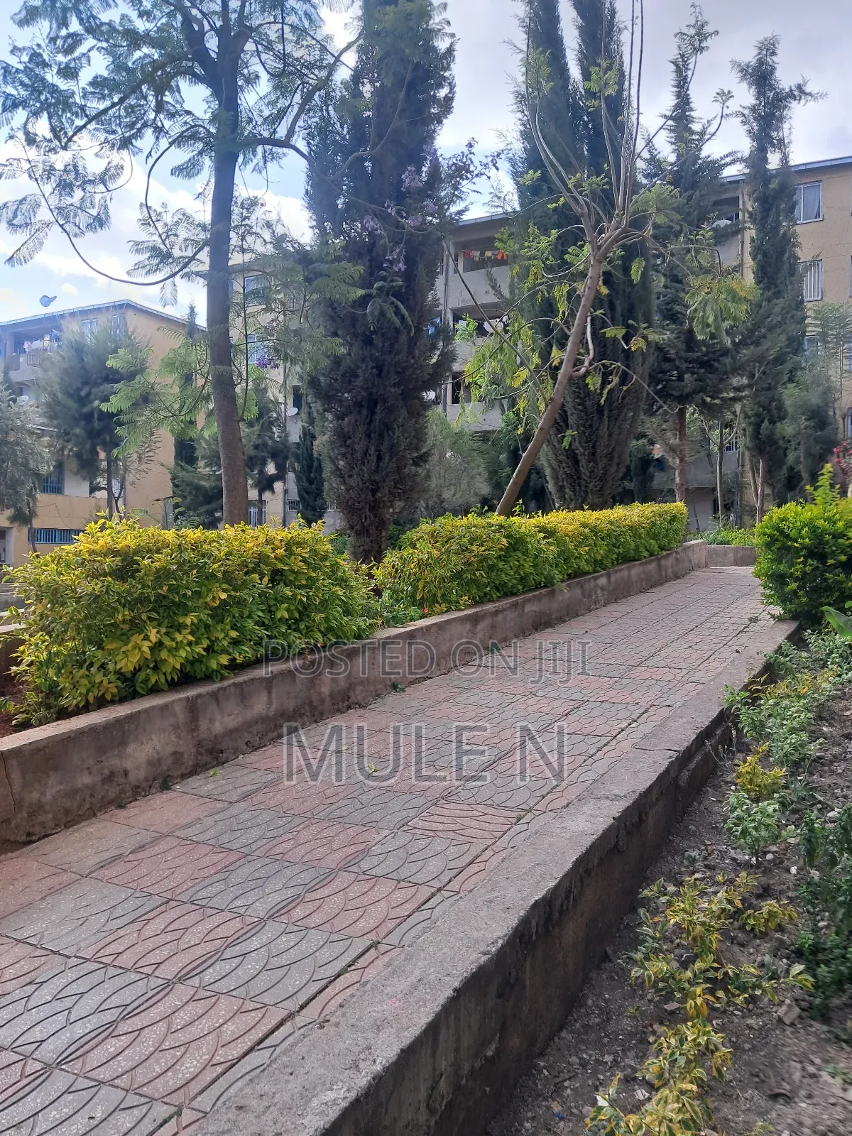 Furnished 1bdrm Condo in Abado Condominium, Yeka for sale