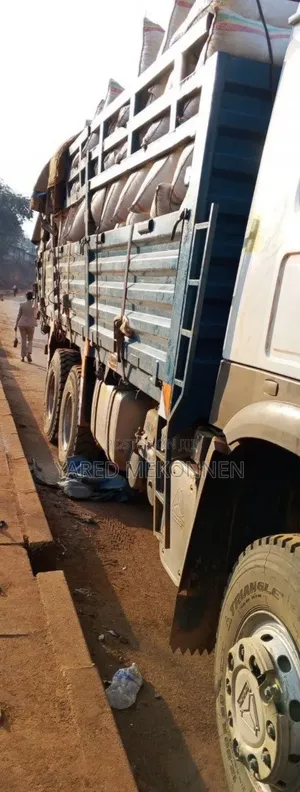 3 ሚሊዮን ባንክ ያለበት 2023 Sini Casoni