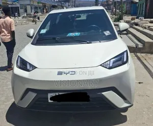 BYD Seagull 2024 White