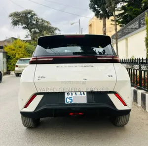 BYD Seagull 2024 White