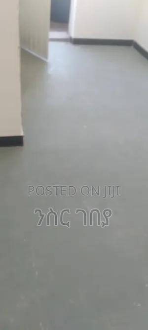 1bdrm Condo in Ayat Tsebel, 20/80, Yeka for sale