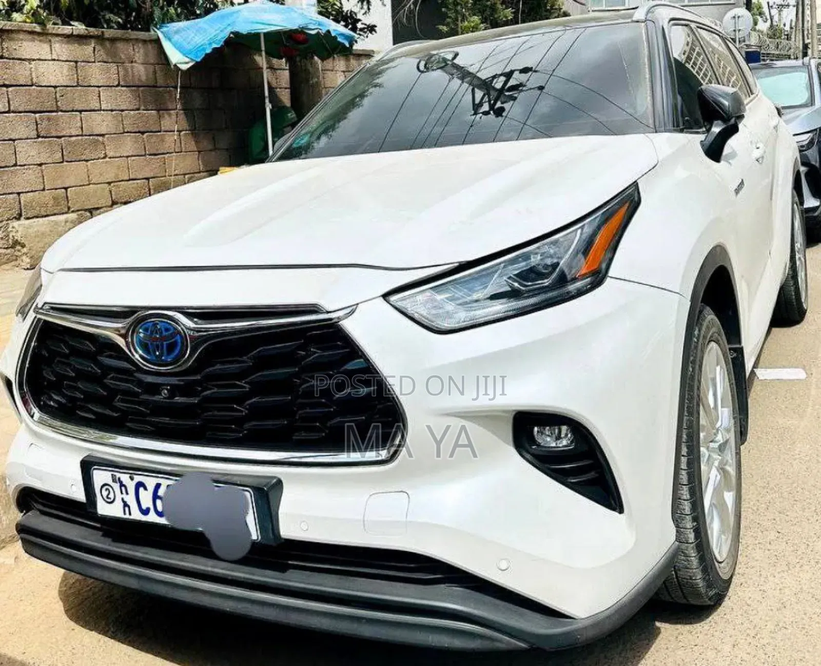 Toyota Highlander Hybrid Limited 2024 White