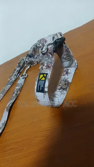 Dog Leash and Collar