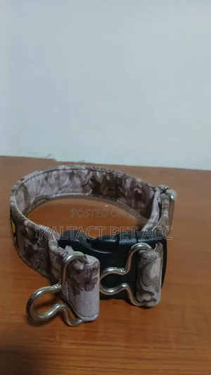 Dog Leash and Collar