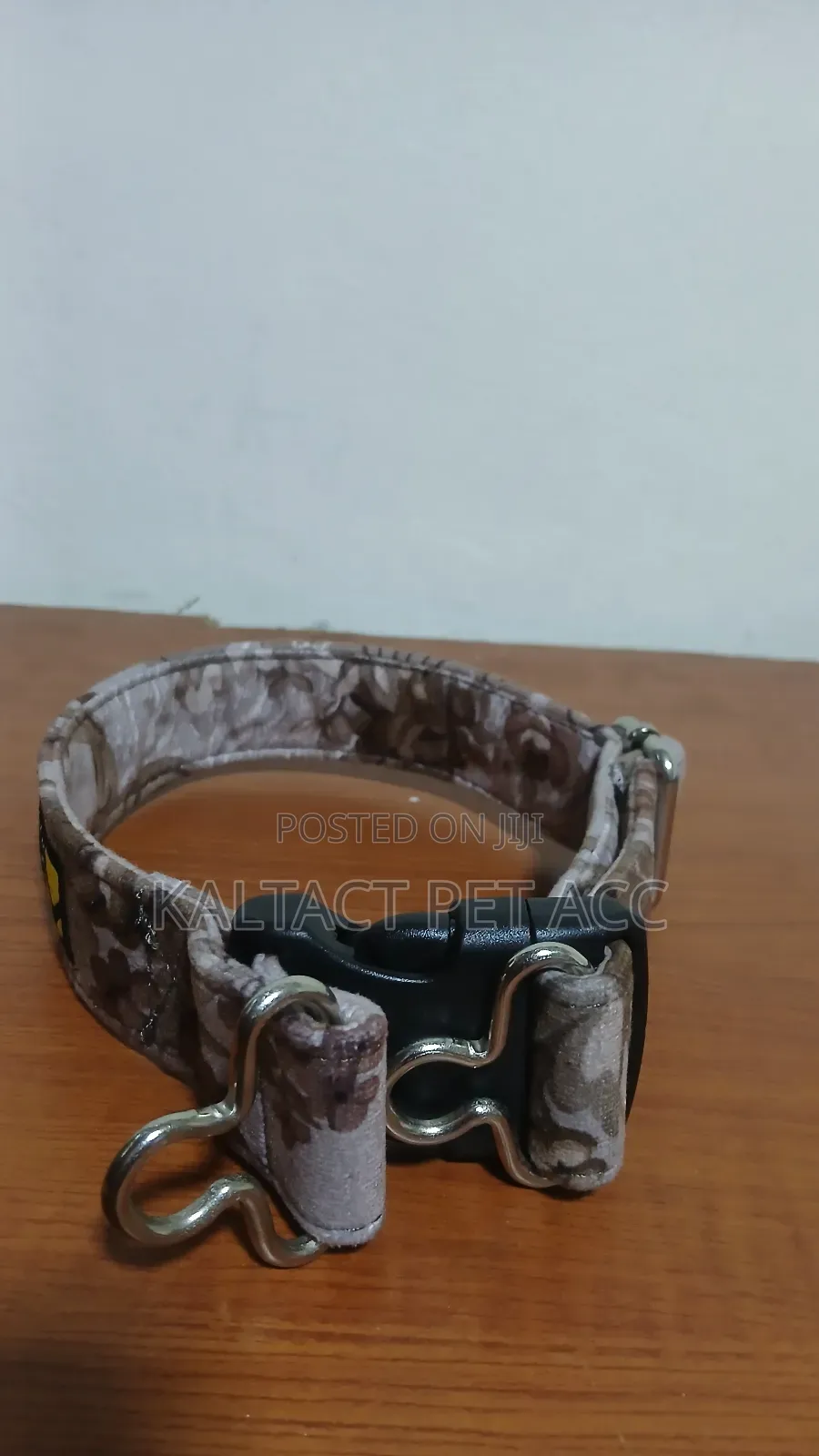 Dog Leash and Collar