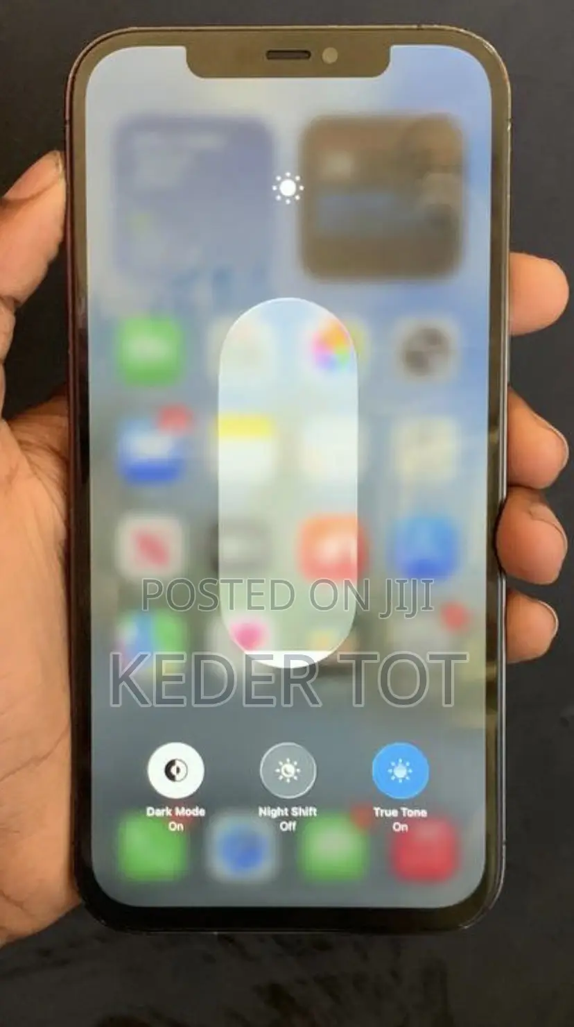 Apple iPhone 12 Pro Max 256 GB Blue