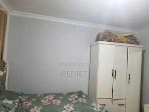 1bdrm Condo in Mechare Conduminum, Lideta for sale