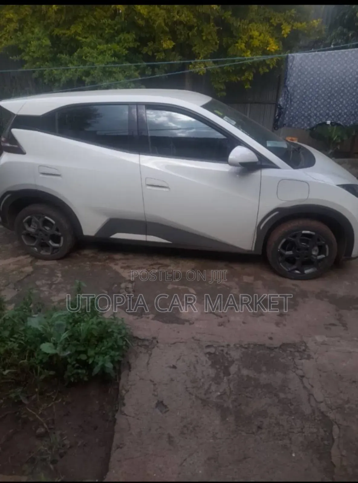 BYD Seagull 2025 White