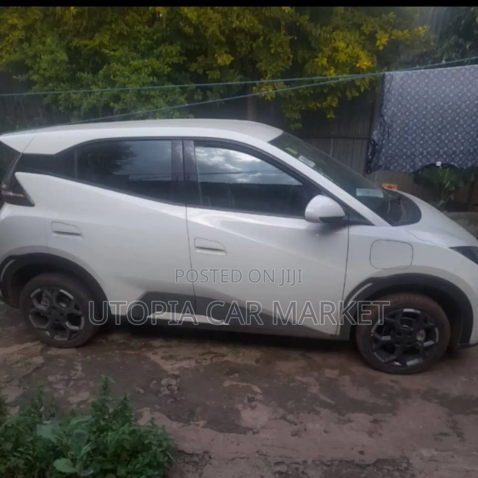 BYD Seagull 2025 White