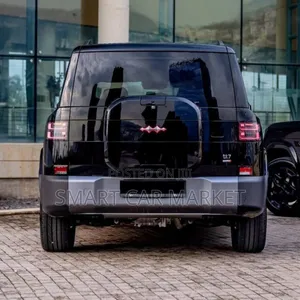 New BYD Leopard 7 2025 Black