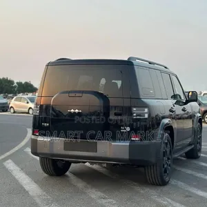 New BYD Leopard 7 2025 Black