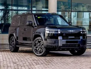 New BYD Leopard 7 2025 Gray