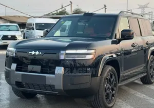 New BYD Leopard 7 2025 Gray