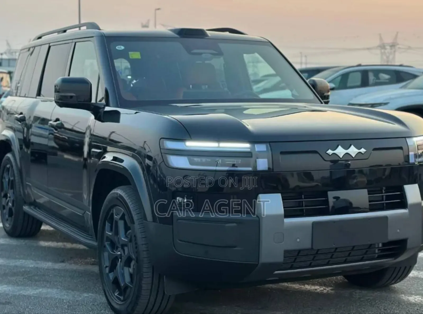 New BYD Leopard 7 2025 Gray