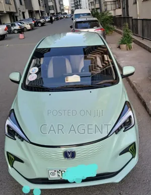 Changan BenBen 2024 Green