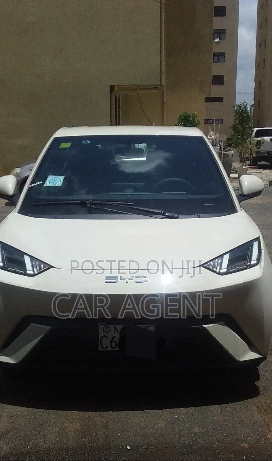 New BYD Seagull 2025 White