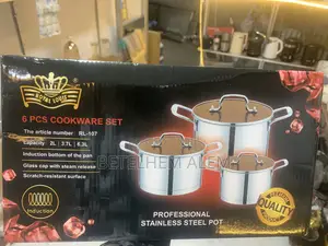 Professional Stain Less Steel Pot