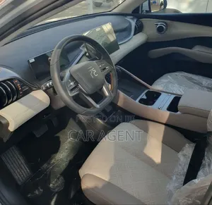 New BYD Yuan Plus 2025 Black