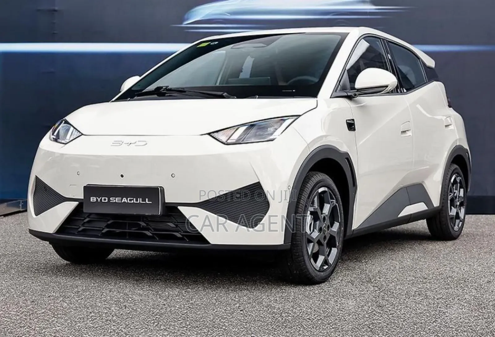 New BYD Seagull 2025 White