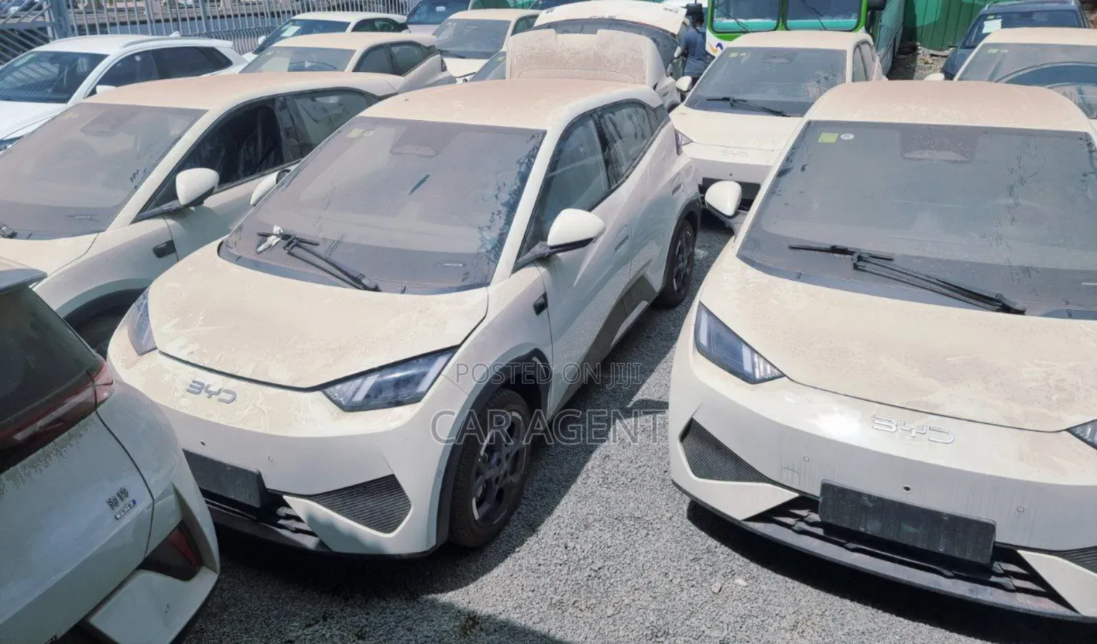 New BYD Seagull 2025 White