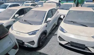 New BYD Seagull 2025 White