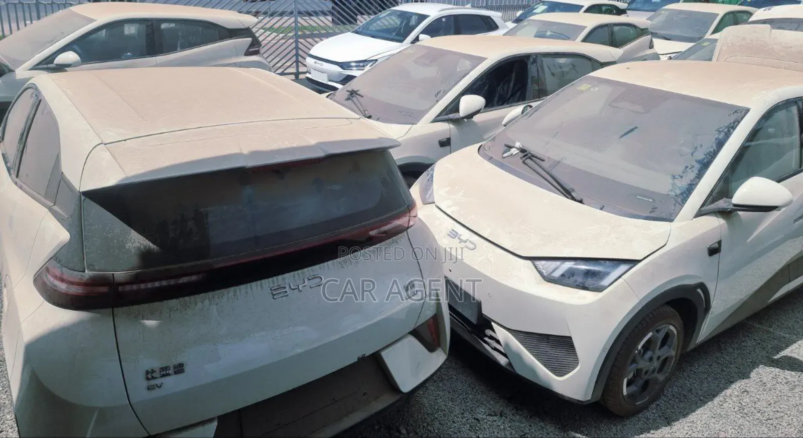 New BYD Seagull 2025 White