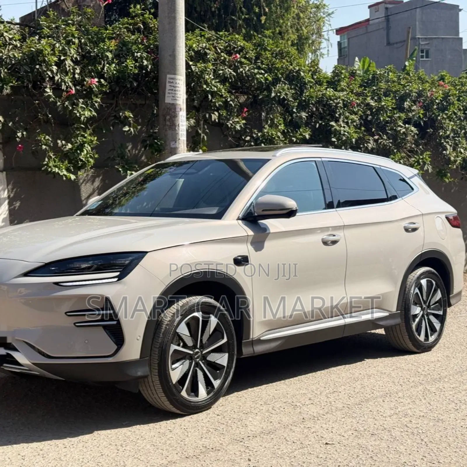 BYD Song Plus 2025 Gray