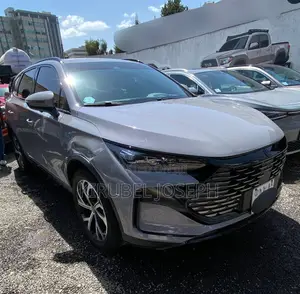 BYD Tang DM-i 2025 Gray
