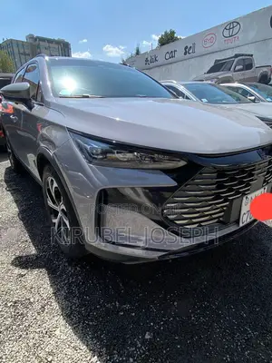 BYD Tang DM-i 2025 Gray
