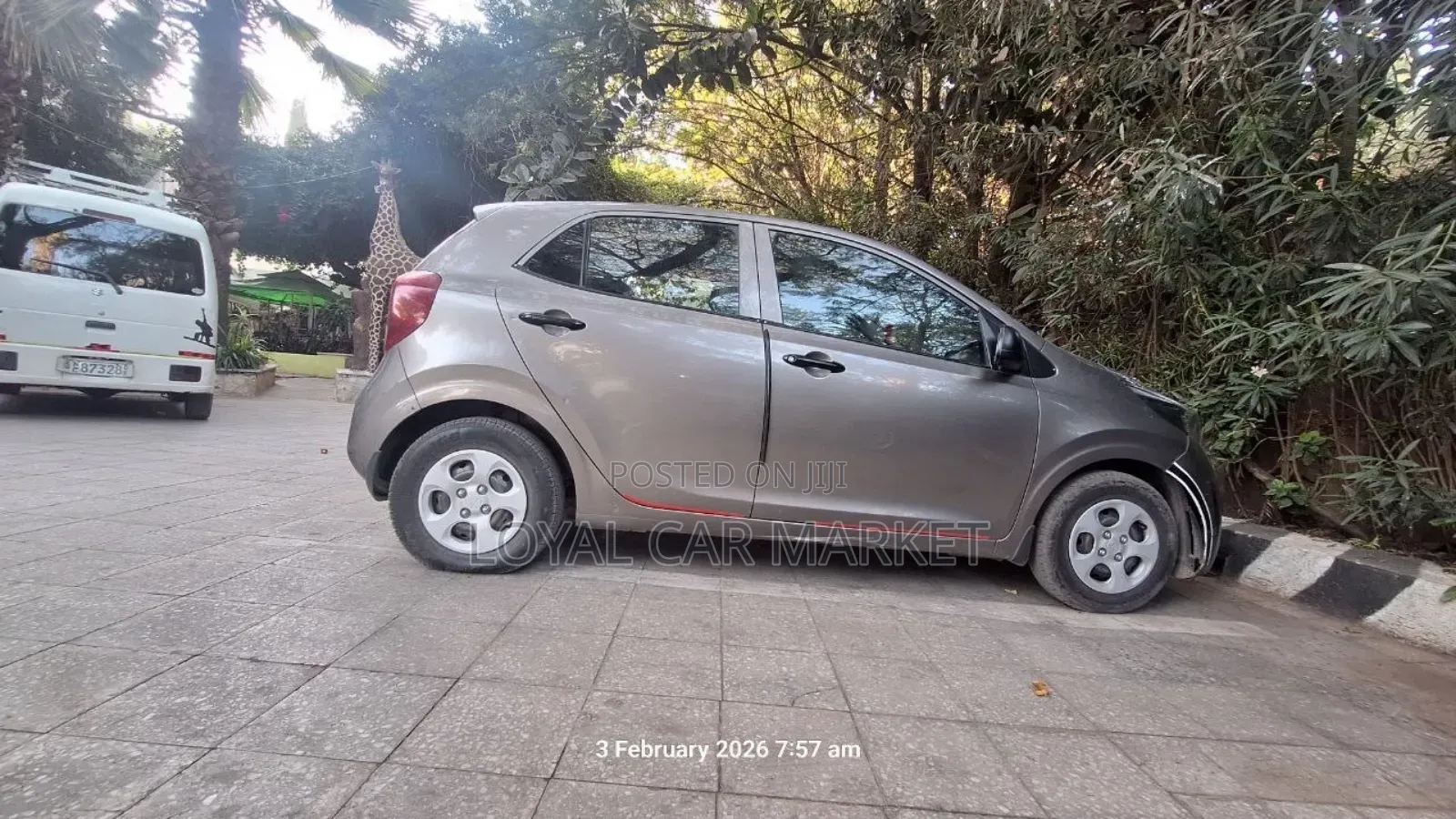 Kia Picanto 2020 Gray